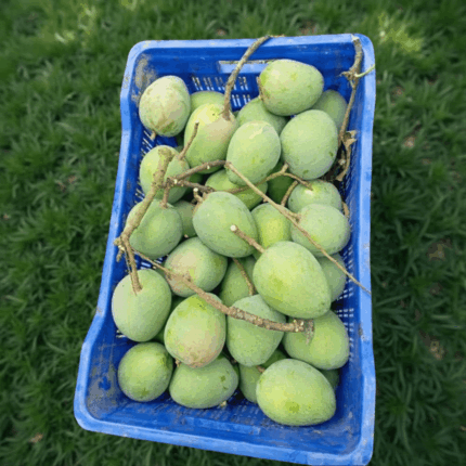 Mango(গোবিন্দ ভোগ) 1 Kg